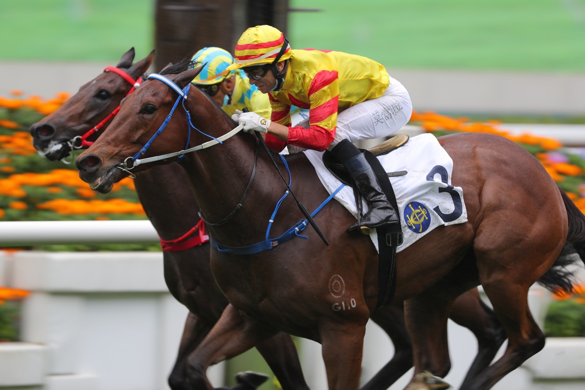 Galaxy Witness gets up close to home under Joao Moreira at Sha Tin. Photos: Kenneth Chan