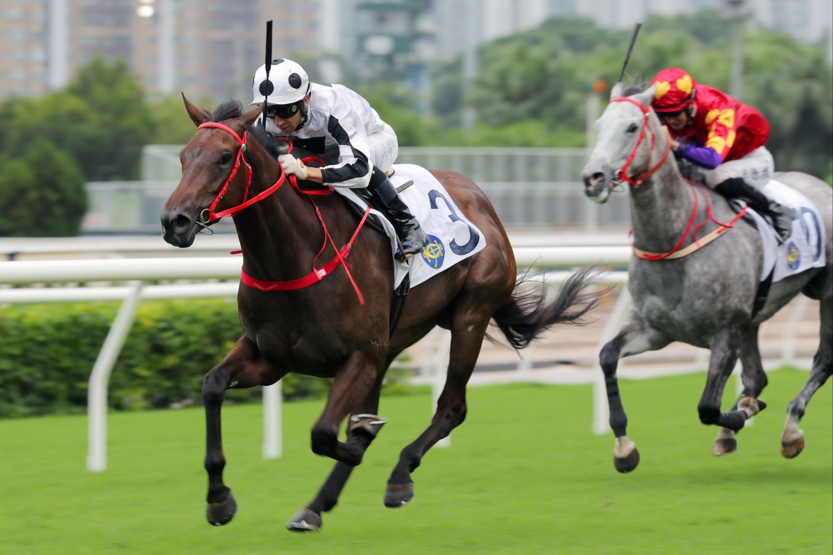 Keefy brings up a double for trainer Frankie Lor at Sha Tin. Photo: Kenneth Chan