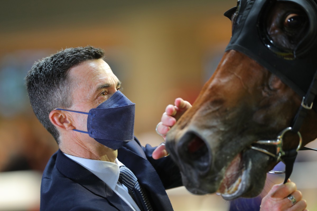 Trainer Douglas Whyte. Photo: Kenneth Chan