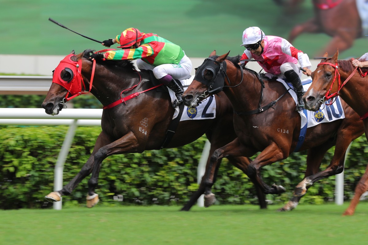 Tourbillon Diamond just holds off Turin Redsun in a tight finish to the Premier Plate. Photo: Kenneth Chan