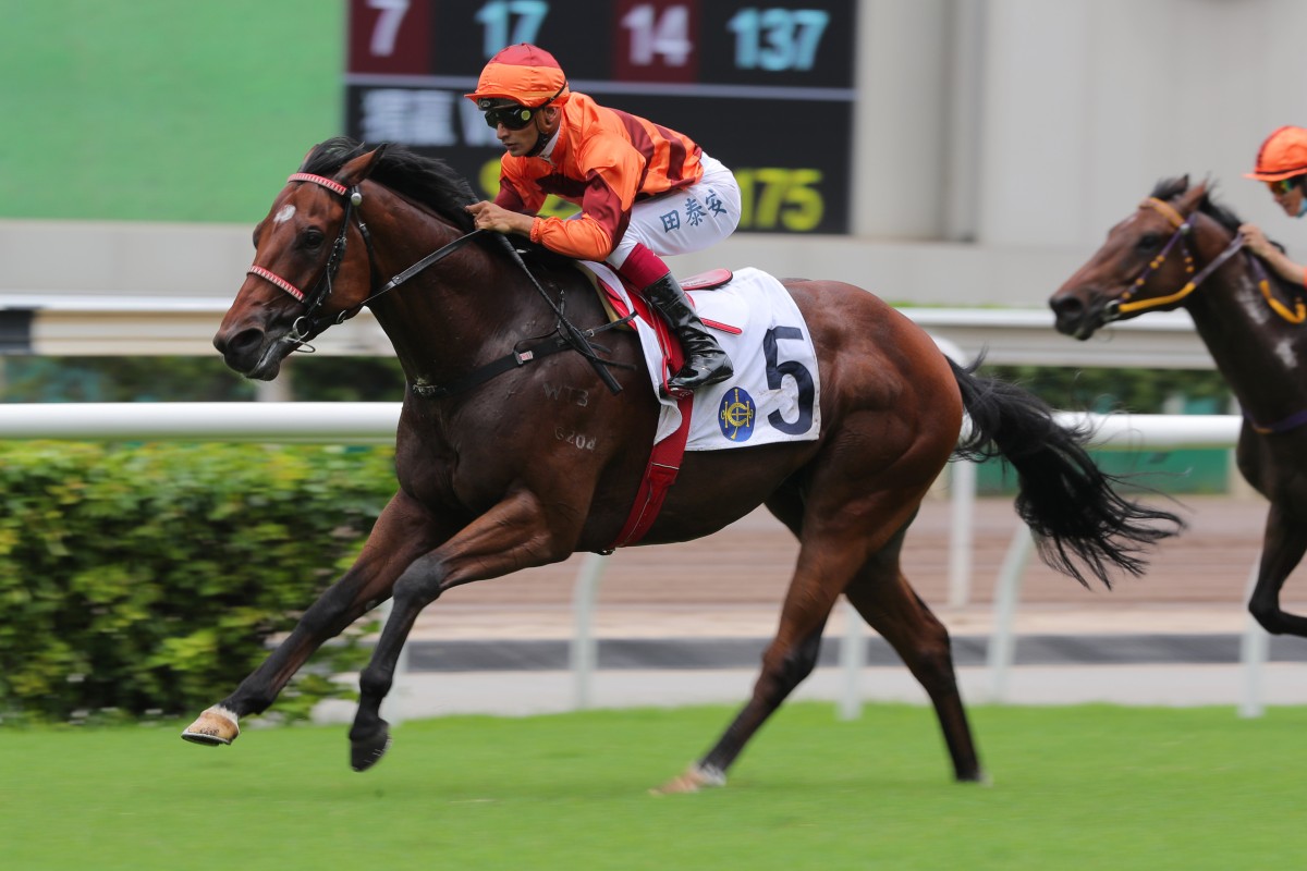 Lucky Eight coasts home on debut at Sha Tin on Sunday. Photo: Kenneth Chan