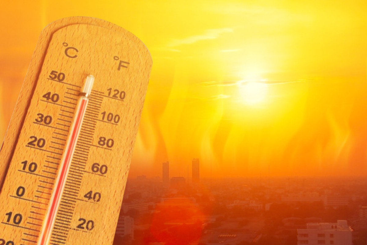 Here are some symptoms to watch for, and what you can do to stay cool and safe throughout the scorching summer months. Photo: Shutterstock