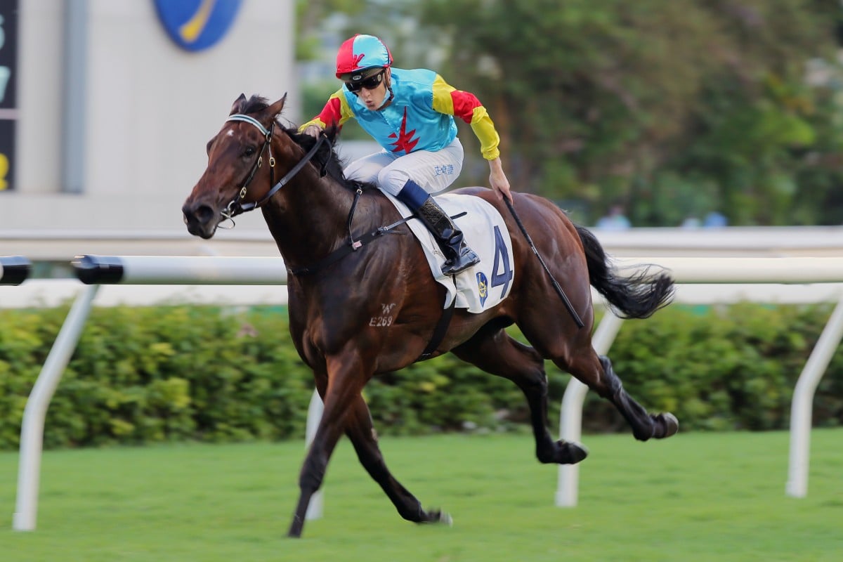 Fantastic Treaure shoots clear of the field to win at the end of last season. Photos: Kenneth Chan