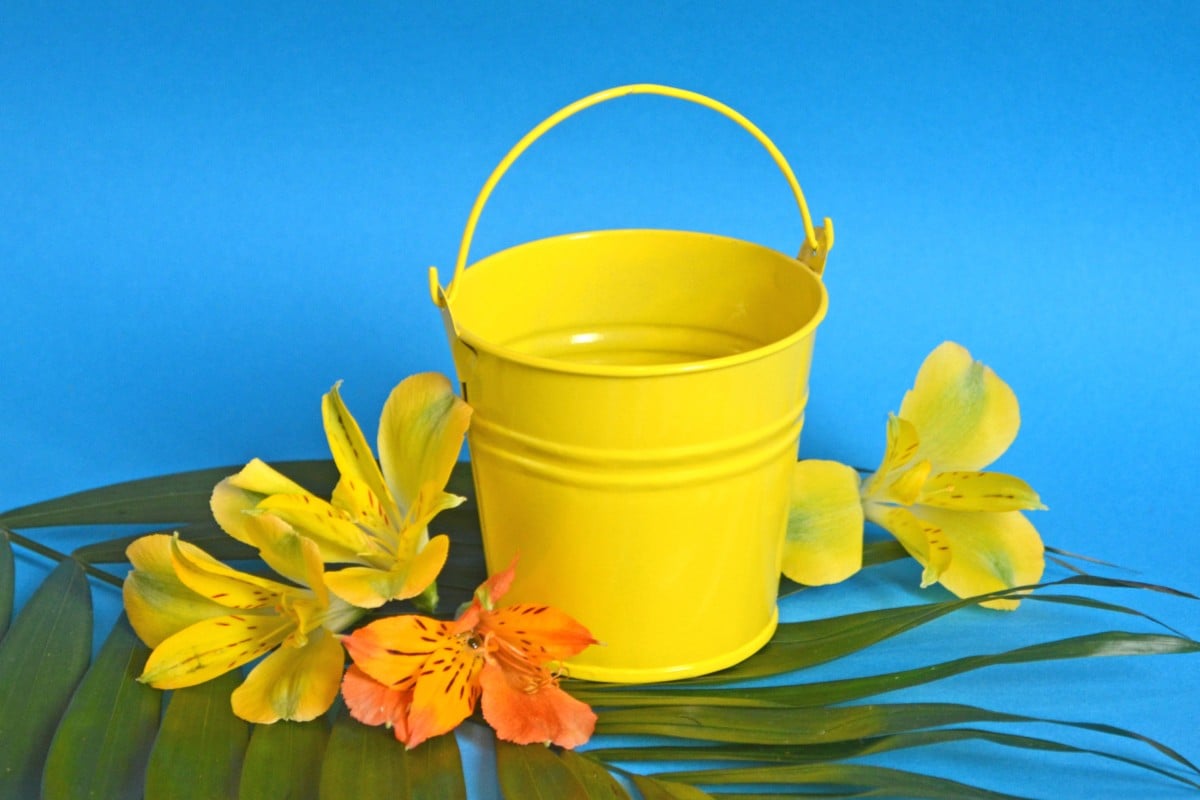 You can fill it with your hopes and dreams! Photo: Shutterstock