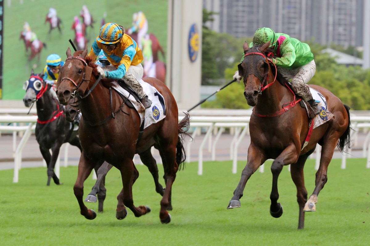 Leading Fortune (right) fights his way past Mr Ascendency at Sha Tin on Friday. Photo: Kenneth Chan