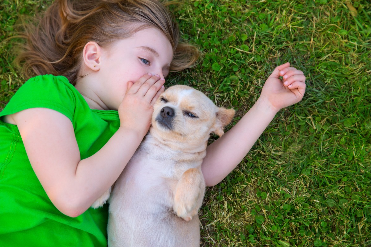 Brain Game: If you could have a conversation with any animal, which would you choose, and what would you say? (Round 6) - YP | South China Morning Post Brain Game: If you could have a conversation with any animal, which would you choose, and what would you say? (Round 6) - YP | South China Morning Post