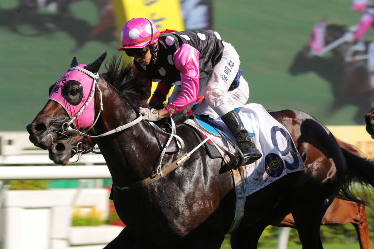 Beauty Charge runs out an impressive winner at Sha Tin. Photos: Kenneth Chan