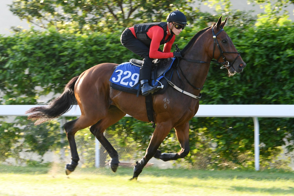 Luke Ferraris rides Maldives in a recent workout at Sha Tin. Photo: Kenneth Chan