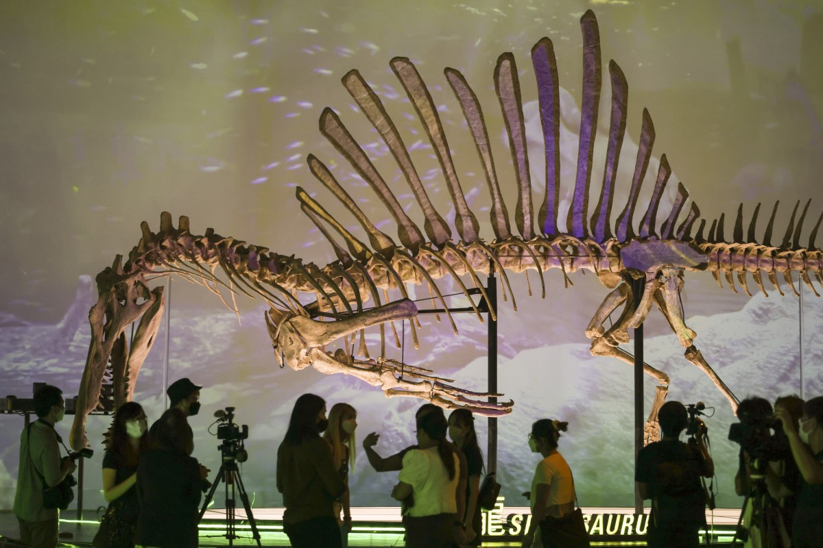 Dinos, Fossils, Eggs, Oh My! What To Expect On A Visit To Hong Kong ...