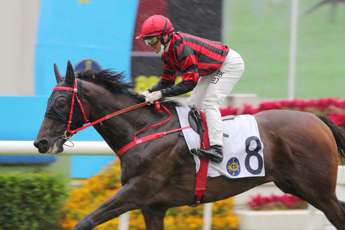 Bourbonaire comes home clear of the field in driving rain at Sha Tin. Photo: Kenneth Chan