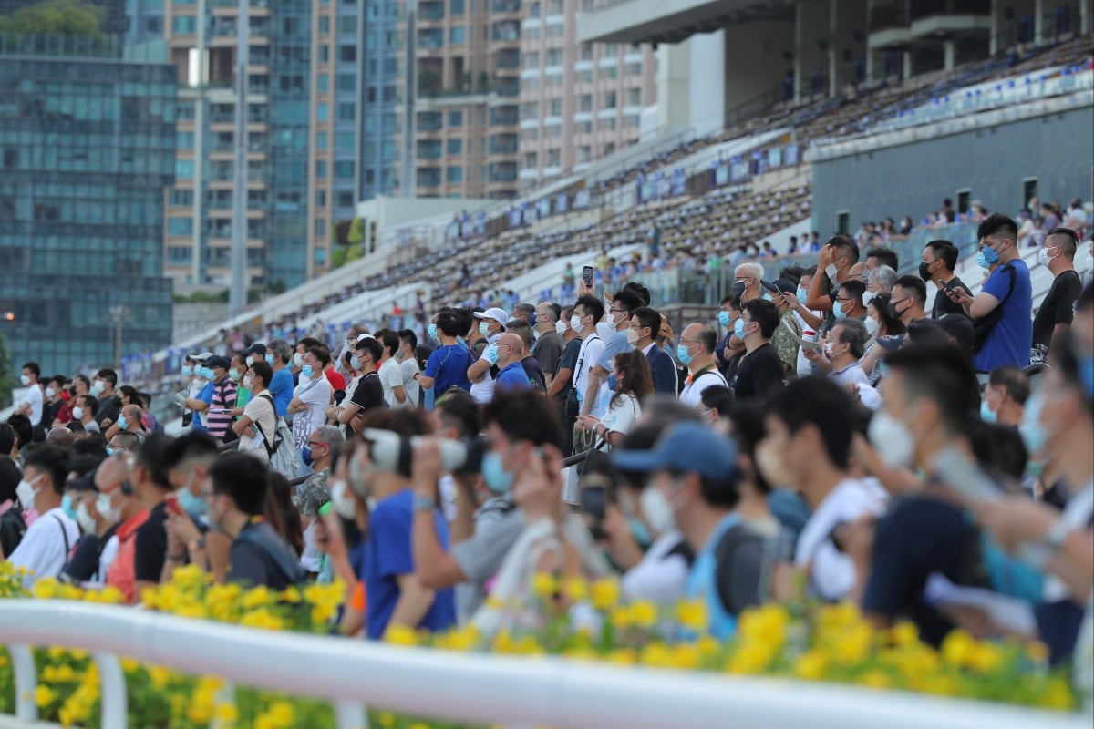 Fans look on at Sha Tin on Saturday. Photos: Kenneth Chan