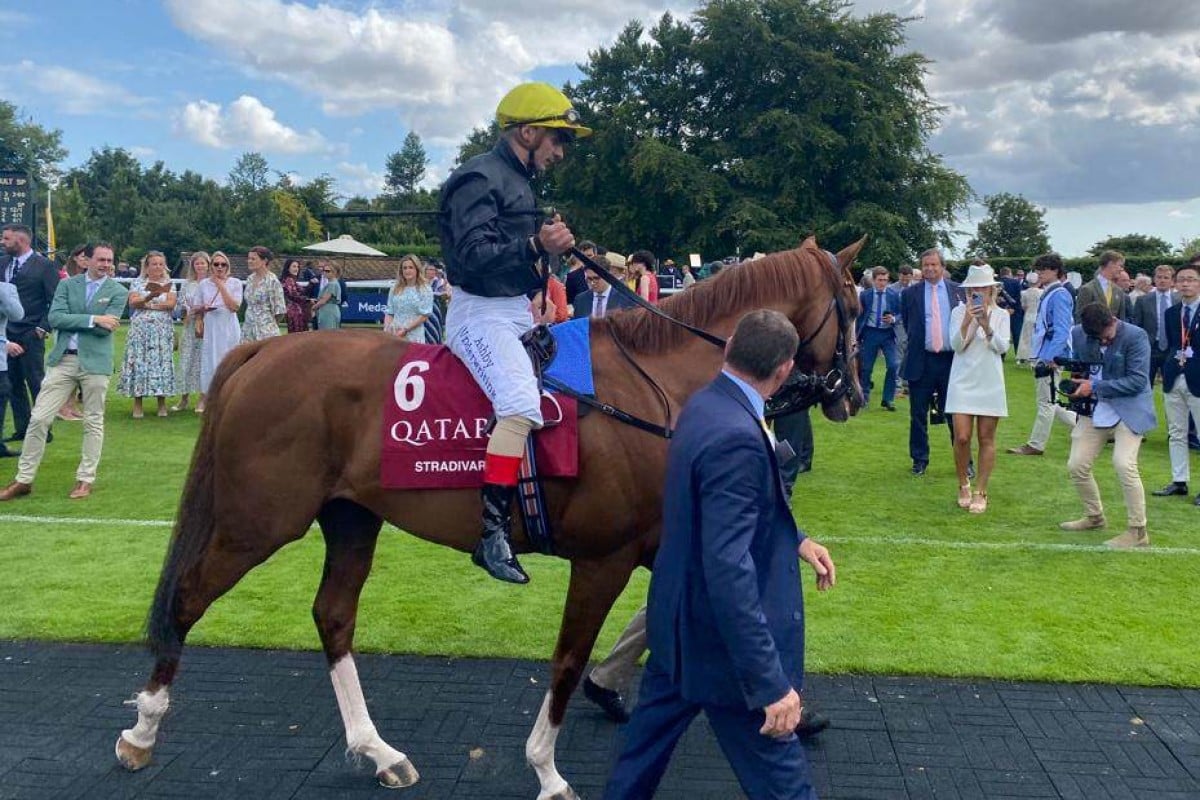 Stradivarius and Andrea Atzeni before their runner-up finish in the Goodwood Cup. Photo: SCMP