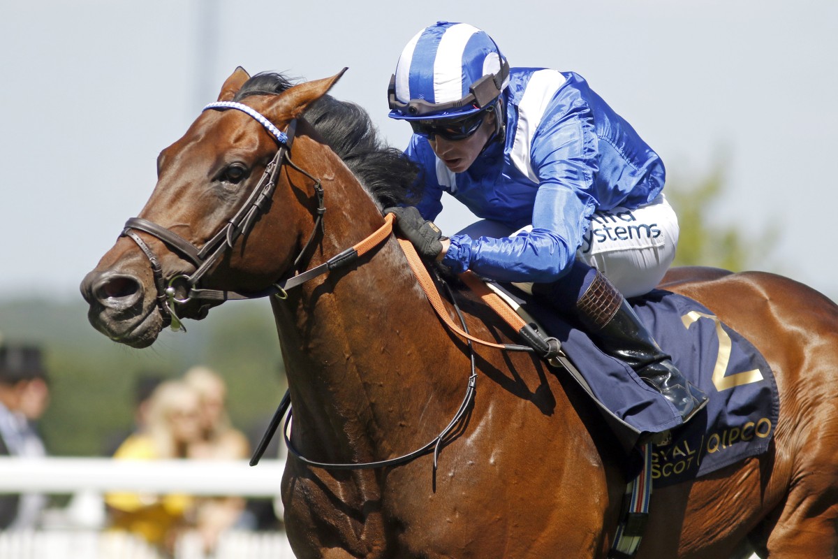 Baaeed takes his winning run to nine with victory in the Sussex Stakes at Goodwood. Photo: RACINGFOTOS.COM