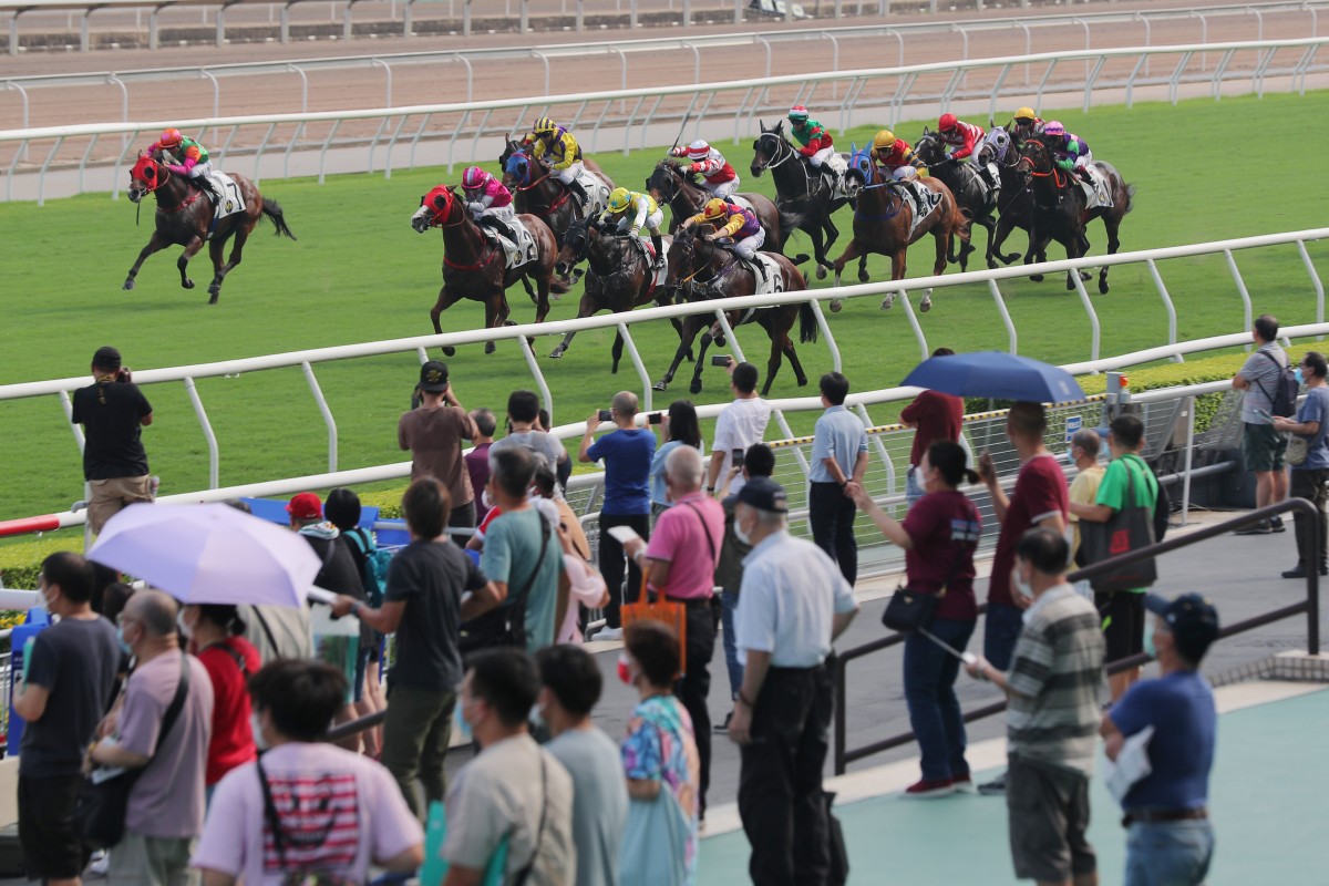 Fans watch on as the field thunders down the straight at Sha Tin on Sunday. Photos: Kenneth Chan