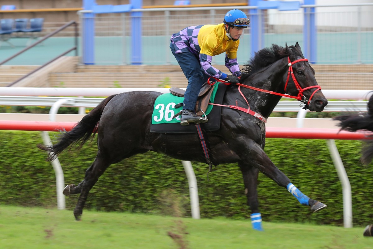 Super Vince trials under Zac Purton at Sha Tin. Photos: Kenneth Chan
