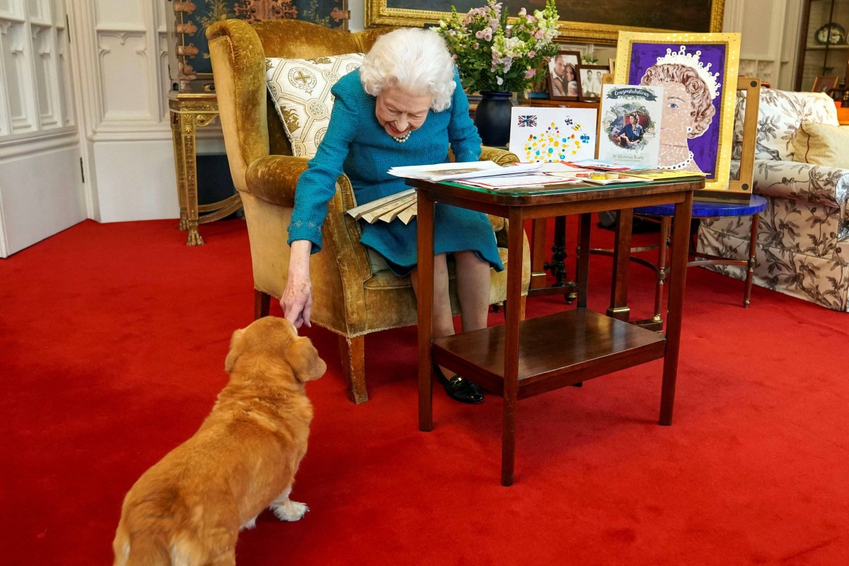 Queen Elizabeth owned around 30 corgis and small dogs that remain inseparable from her image. Photo: AFP