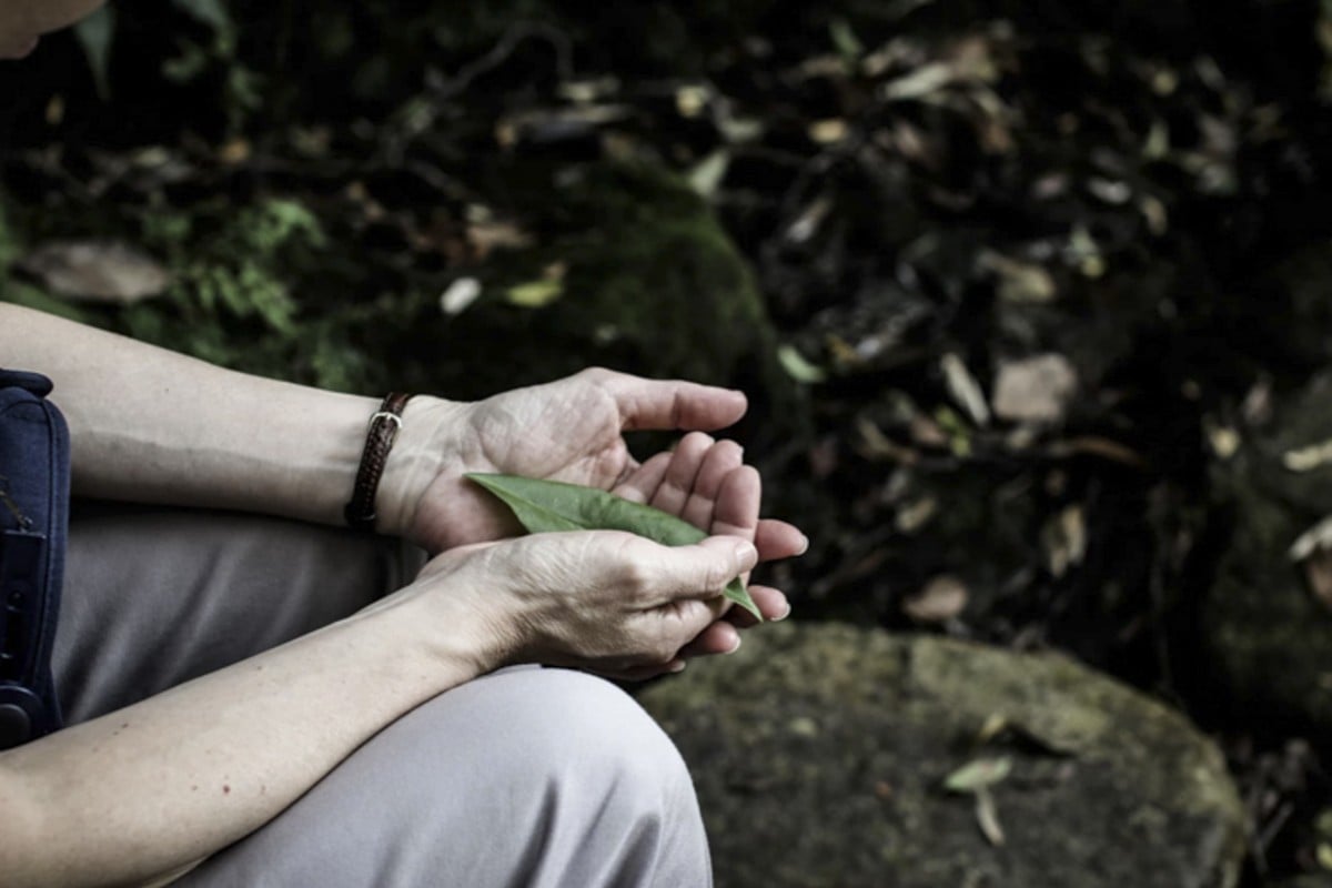 Research has found that those who spend more time in nature have reduced risks of many chronic illnesses. Photo: Courtesy of the Lung Fu Shan Environmental Education Centre