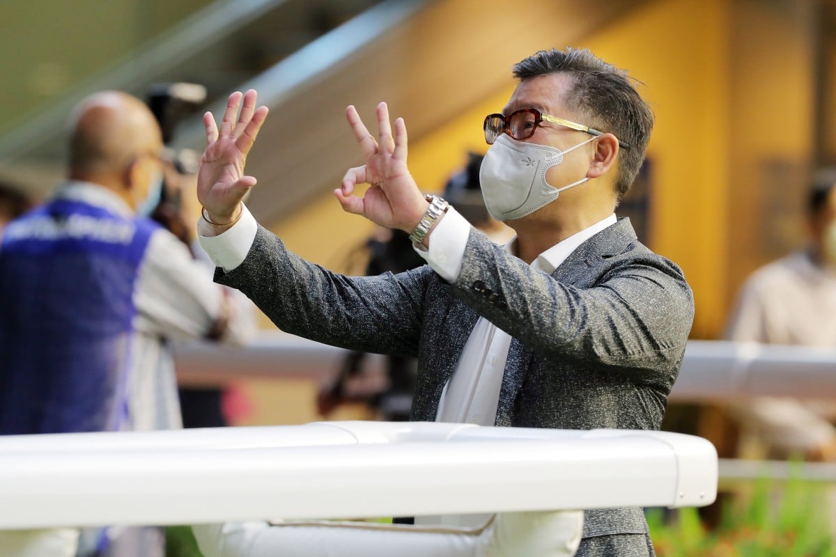 Dennis Yip celebrates 800 winners as a Hong Kong trainer. Photo: Kenneth Chan