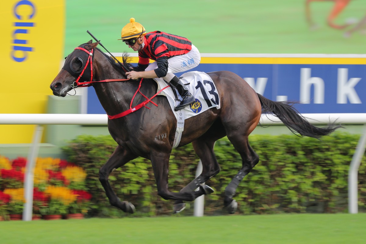 Zac Purton secures his seventh Sha Tin success on Sunday aboard Erimo in the Class Three Spoonbill Handicap. Photos: Kenneth Chan