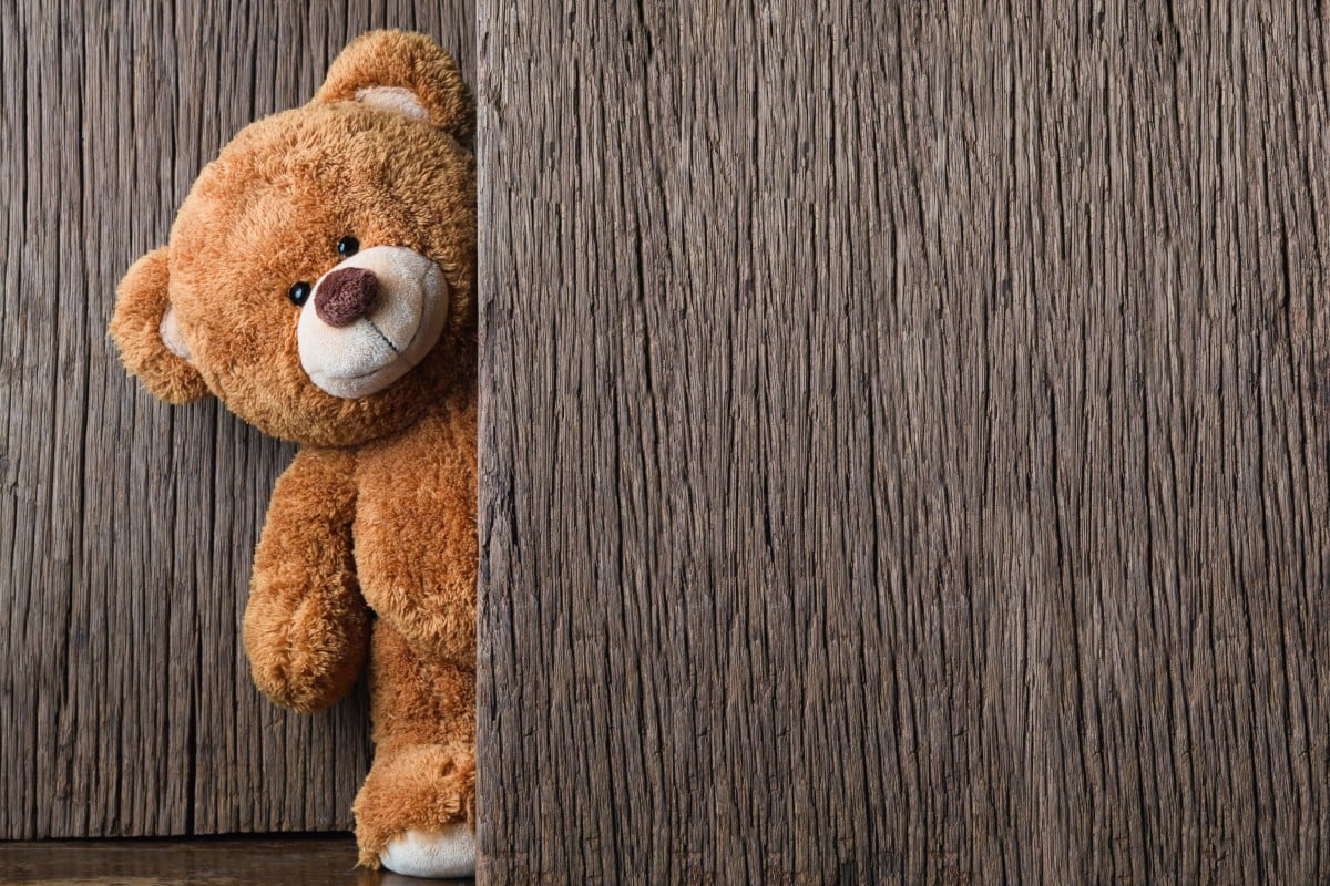 Your teddy pal is always there for you! Photo: Shutterstock