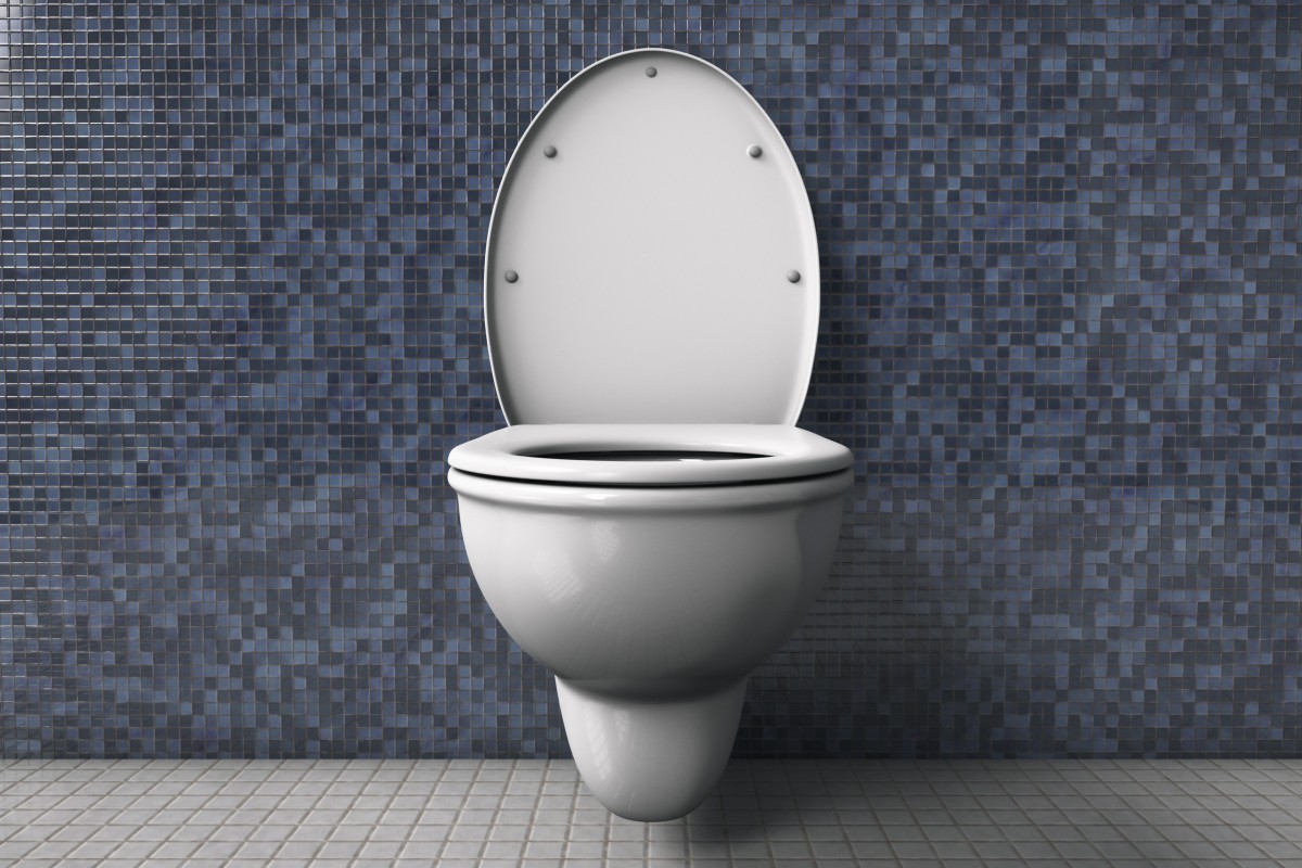 Modern toilets look just a bit different from ones in the 15th century. Photo: Shutterstock