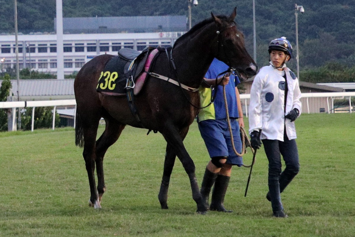 Jockey Vincent Ho walks with Golden Sixty after being thrown from the galloper. Photos: Kenneth Chan