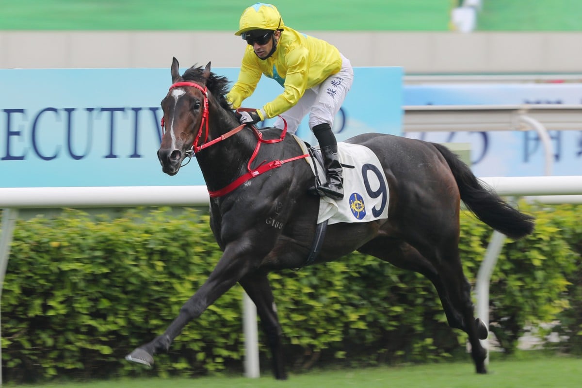 Lucky Sweynesse runs away with the Class One Chief Executive’s Cup at Sha Tin on the opening day of the 2022-23 season. Photo: Kenneth Chan