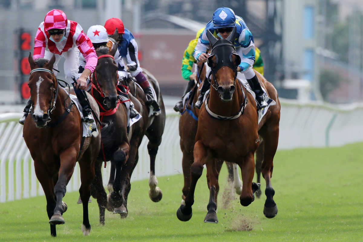Lucky Patch (blue colours) wins the 2021 Premier Bowl at Sha Tin under Zac Purton. Photo: Kenneth Chan