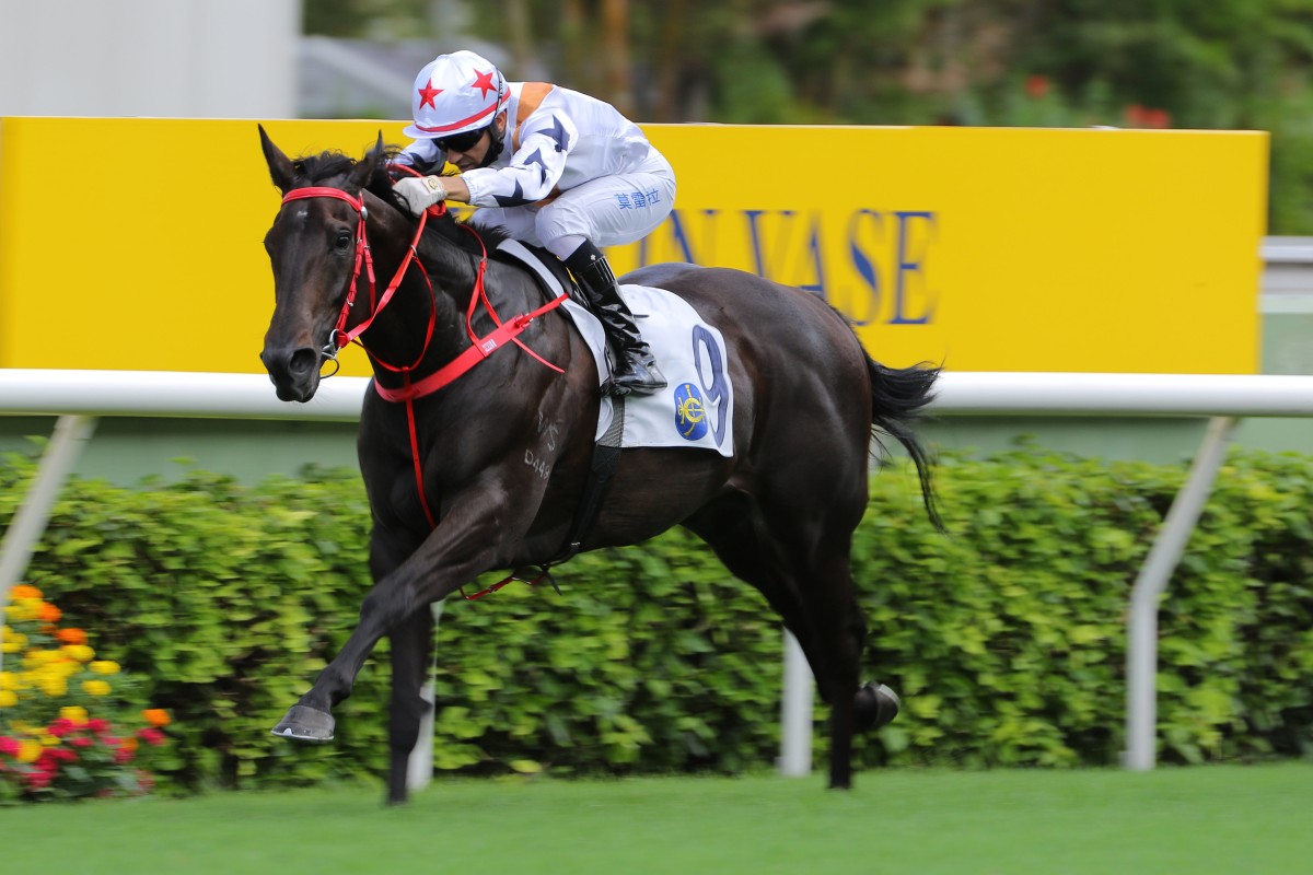 Courier Wonder wins last year’s Sha Tin Vase. Photos: Kenneth Chan