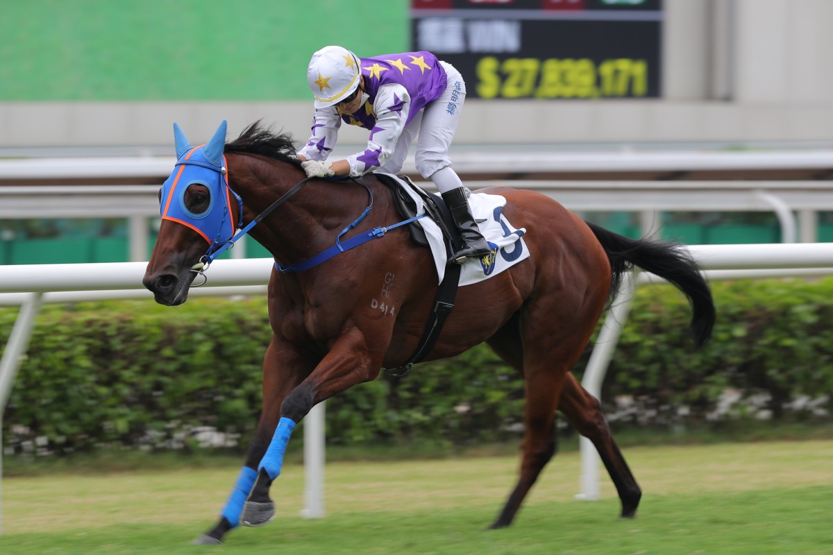 Untold Riches salutes under Keith Yeung at Sha Tin on Sunday. Photo: Kenneth Chan