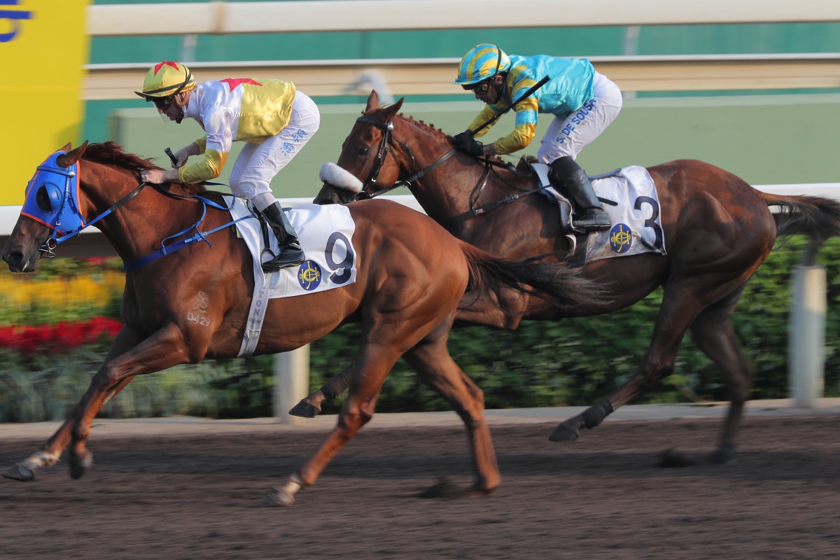 On his first start in 511 days after enduring numerous setbacks, Maximus finishes runner-up to Man Star at Sha Tin on October 9. Photo: Kenneth Chan