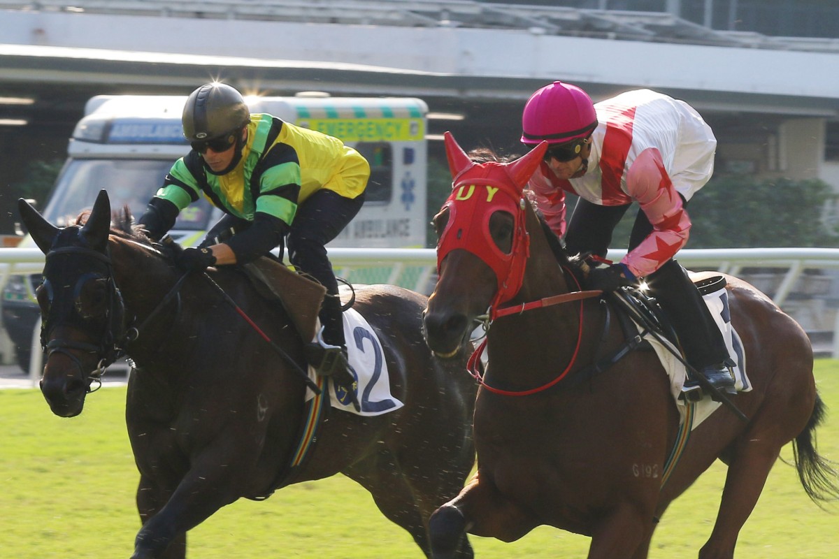 Dragon Admiral (yellow colours) trials under Alexis Badel at Happy Valley on October 14. Photos: Kenneth Chan.