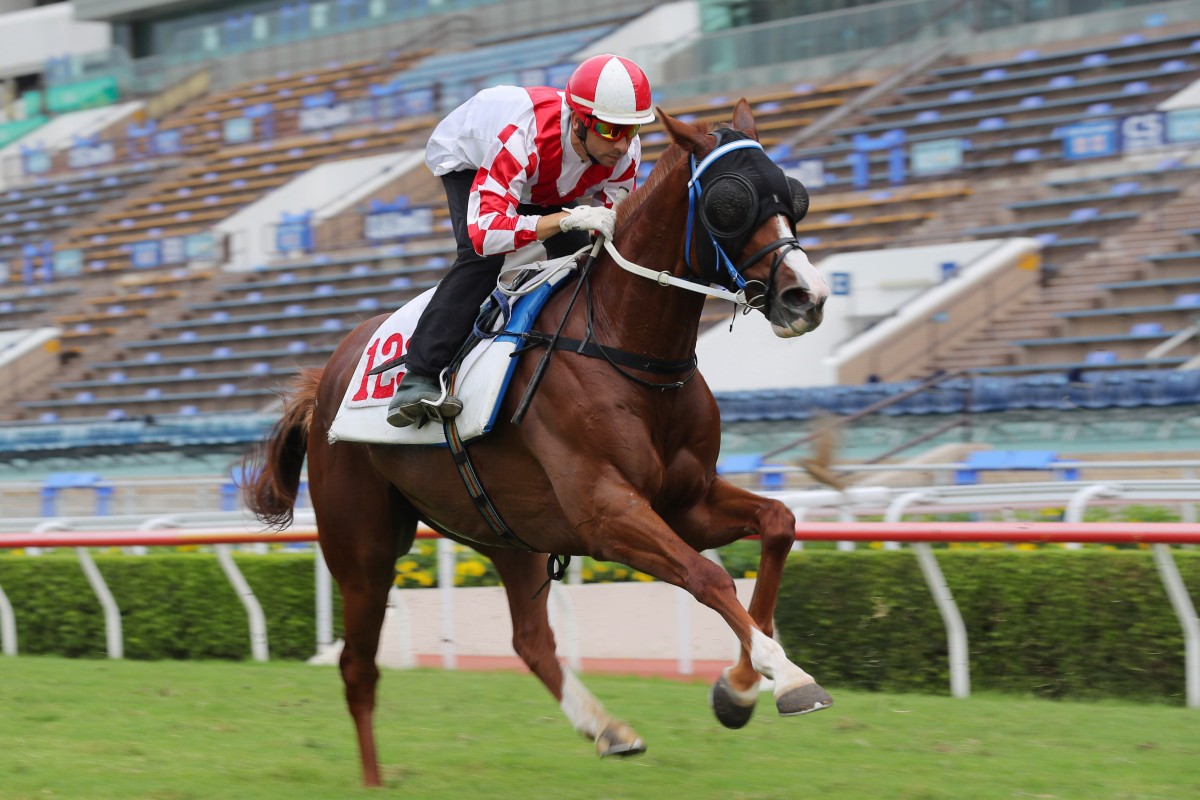 Hong Kong maiden Amazing News gallops under Joao Moreira at Sha Tin. Photo: Kenneth Chan