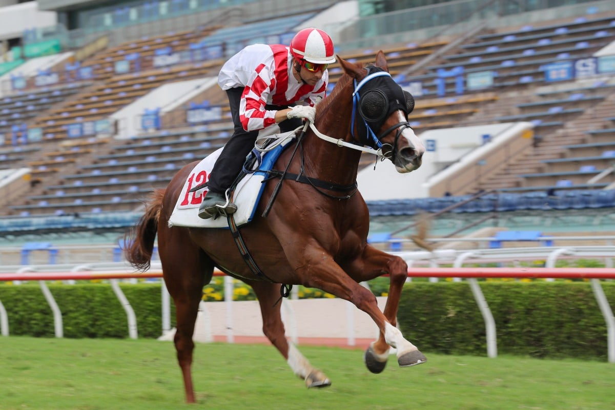 Hong Kong maiden Amazing News gallops under Joao Moreira at Sha Tin. Photo: Kenneth Chan
