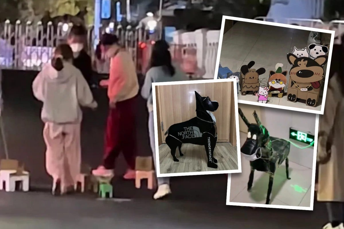 University students stuck in Covid-19 lockdowns have turned to making cardboard pets to entertain themselves. Photo: SCMP composite