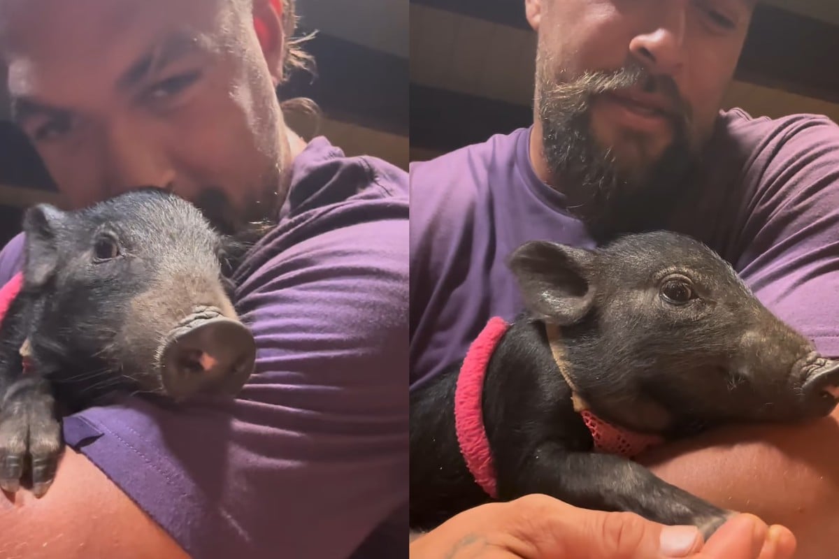 Jason Momoa cuddles with his new pet pig. Photo: prideofgypsies/IG