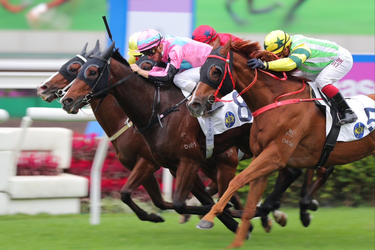 Beluga (pink and blue colours) salutes under Zac Purton at Sha Tin on Saturday. Photos: Kenneth Chan