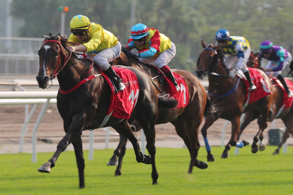 Lucky Sweynesse wins the Group Two BOCHK Private Banking Jockey Club Sprint under Zac Purton at Sha Tin. Photos: Kenneth Chan