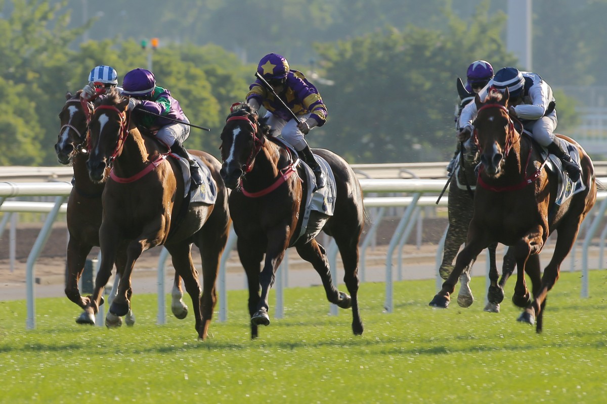 Excellent Proposal (left) and Butterfield (right) place in last year’s Chevalier Cup. Photo: Kenneth Chan