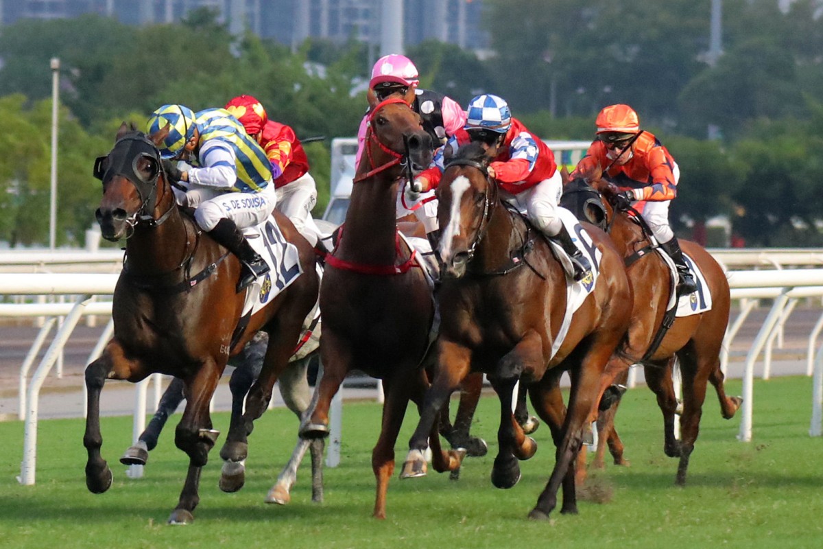 Beauty Eternal and Zac Purton run into the last of several dead ends at Sha Tin on November 6. Photo: Kenneth Chan
