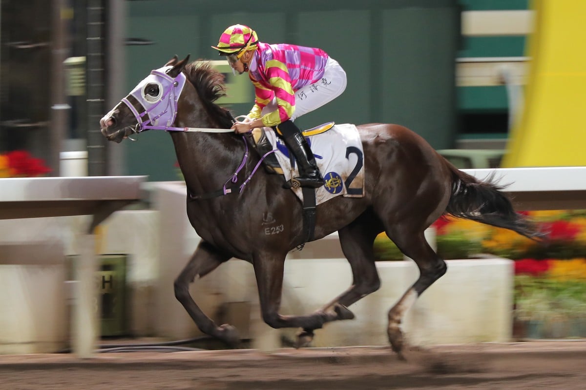 Super Win Dragon posts another wide-margin win on Sha Tin’s all-weather track on October 26. Photo: Kenneth Chan