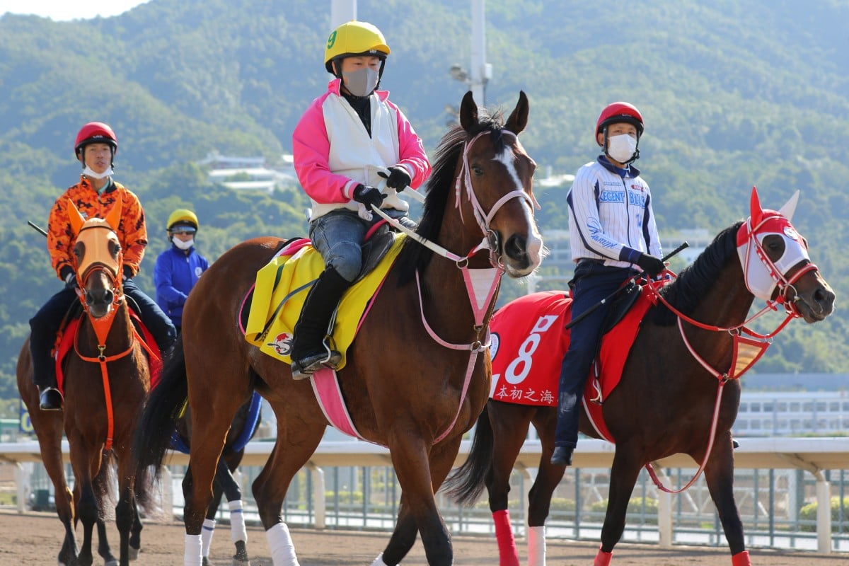 Last year’s Group One Longines Hong Kong Sprint (1,200m) runner-up Resistencia leads several Japanese gallopers back to their Sha Tin stables on Friday morning. Photo: Kenneth Chan