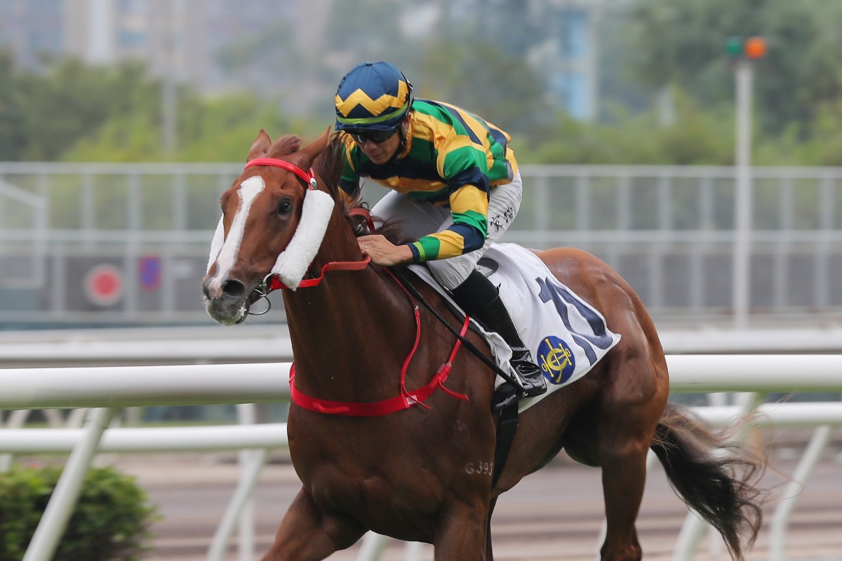 A Pal costs to victory under Derek Leung at Sha Tin on November 6. Photo: Kenneth Chan