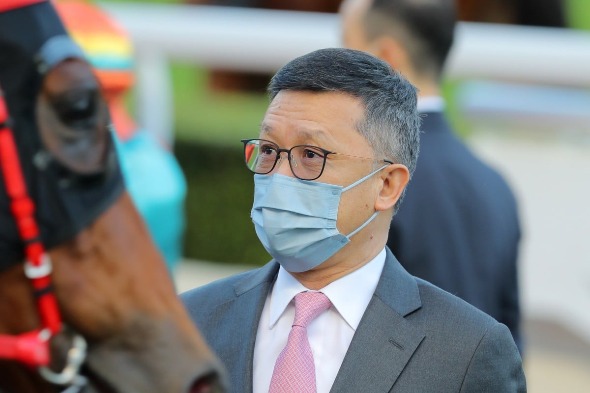 Trainer Peter Ho looks over Amazing Victory after his win. Photos: Kenneth Chan