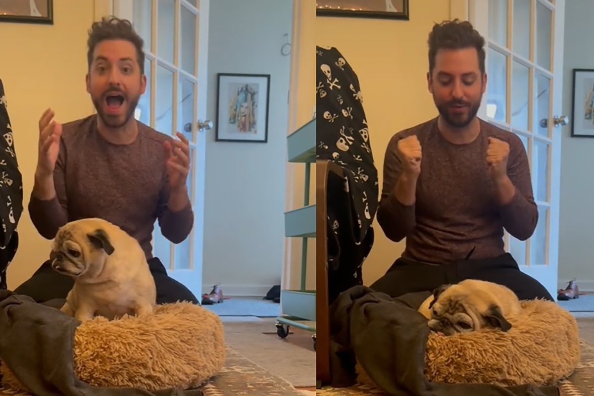 Noodle the pug, famous for his “bones or no bones” videos on TikTok, has died at the age of 14. Photo: @jongraz / TikTok