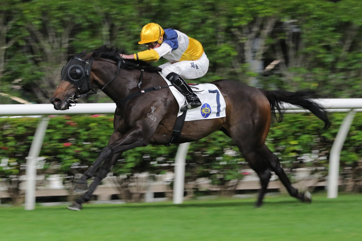 Ryan Moore drives Medic Elite home in the Class Five France Handicap (1,650m) at Happy Valley on Wednesday night. Photo: Kenneth Chan