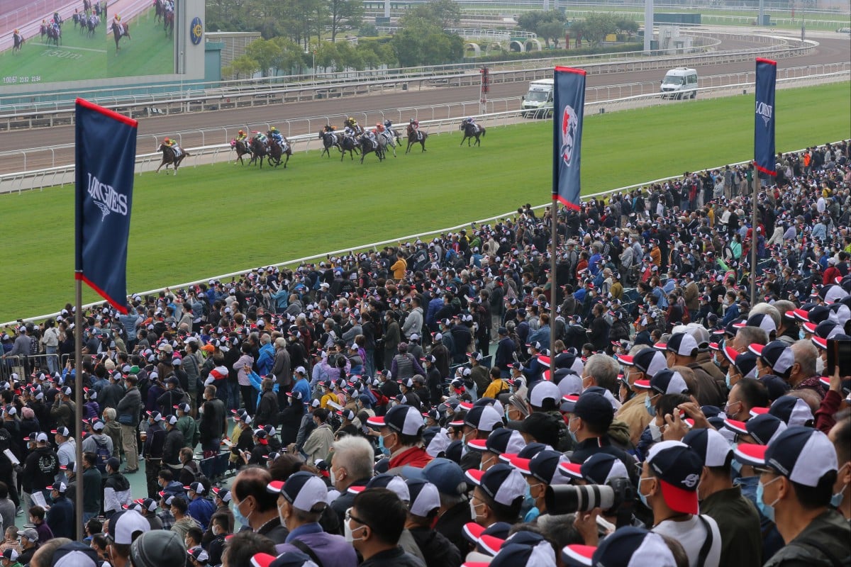 A bustling Sha Tin crowd watches the field thunder down the straight on Sunday. Photos: Kenneth Chan