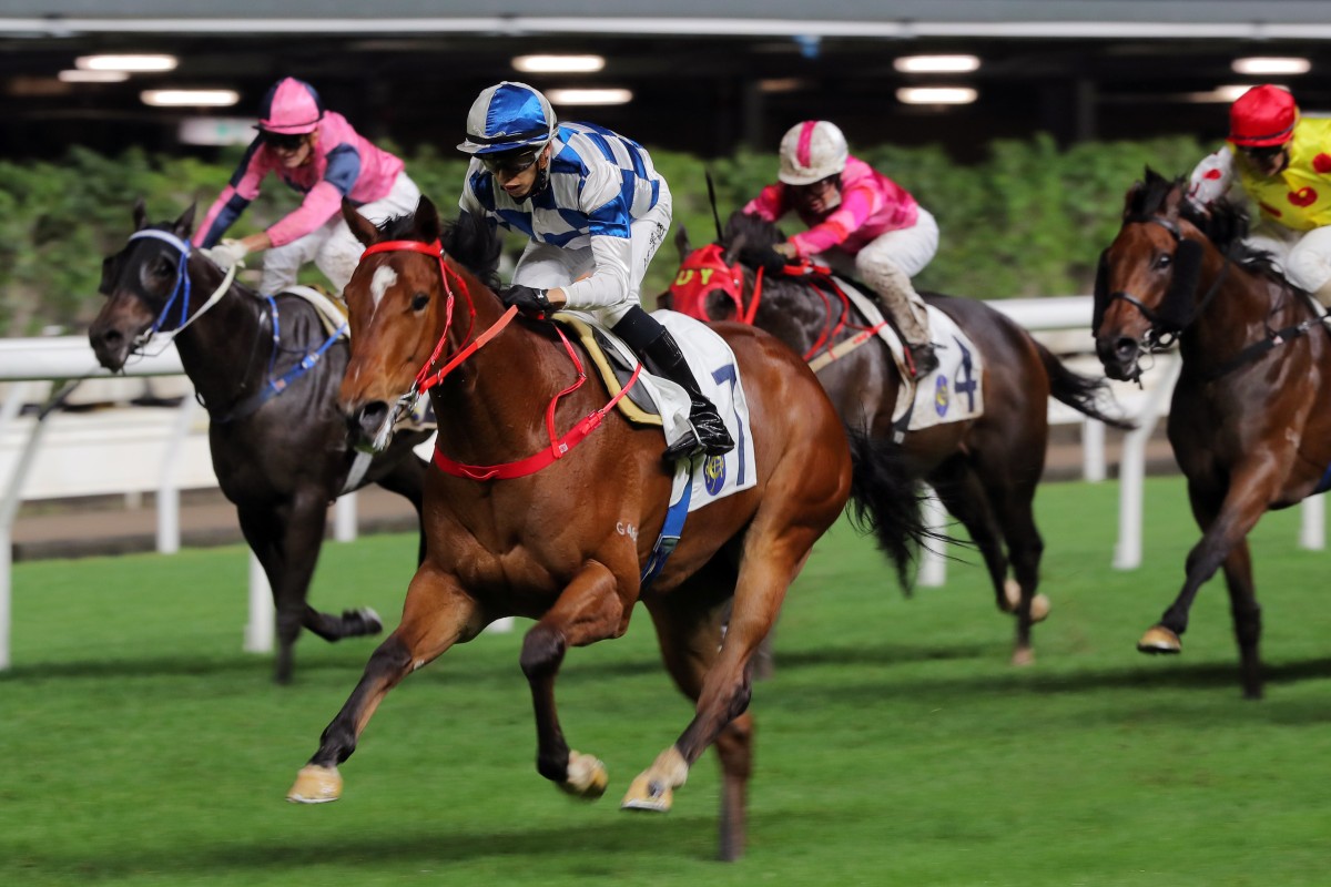 Expensive first-starter Nordic Dragon cruises to victory under Vincent Ho at Happy Valley on November 23. Photos: Kenneth Chan