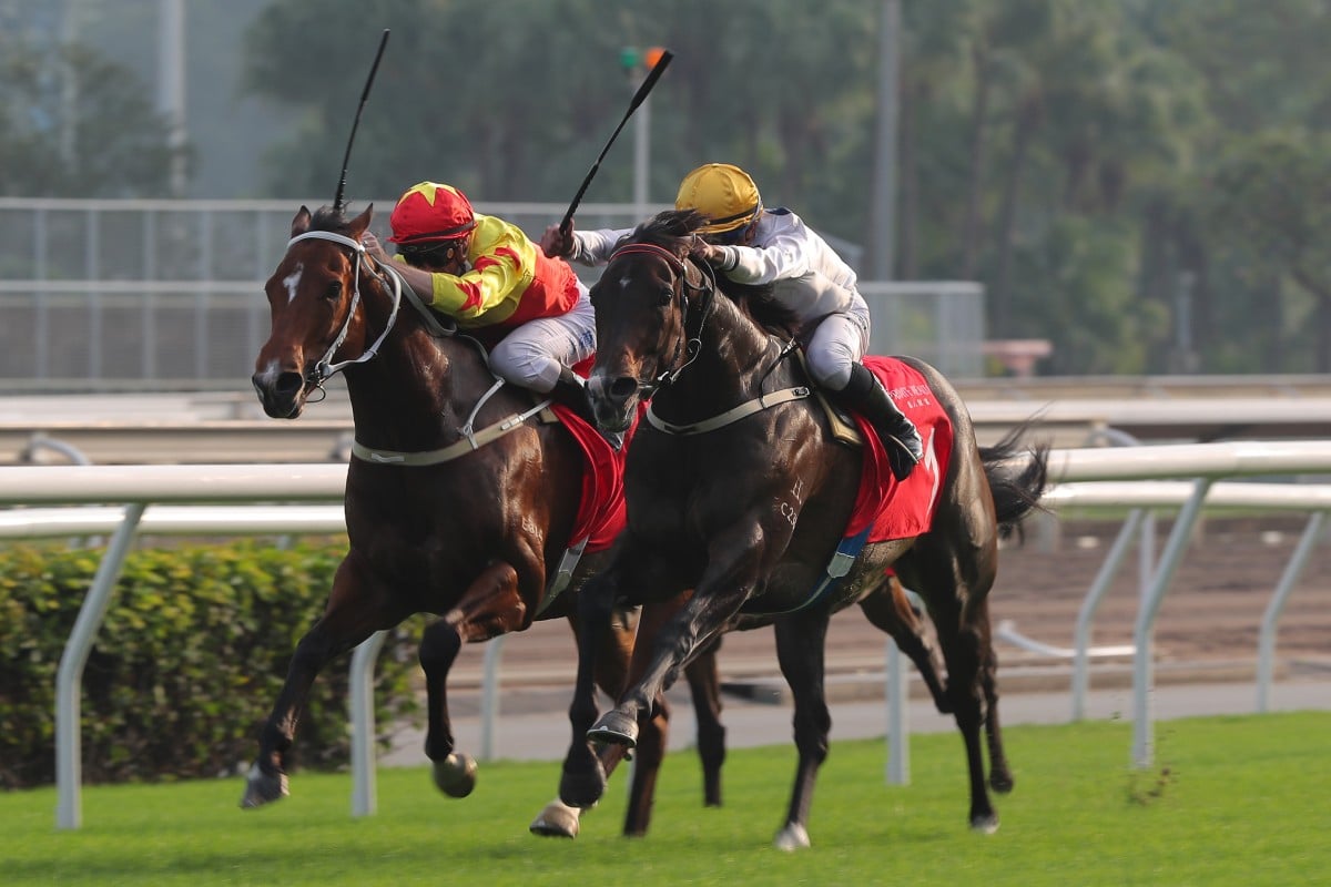 California Spangle (left) and Golden Sixty (right) battle to the line in the Group Two Jockey Club Mile (1,600m) at Sha Tin on November 20. Photo: Kenneth Chan