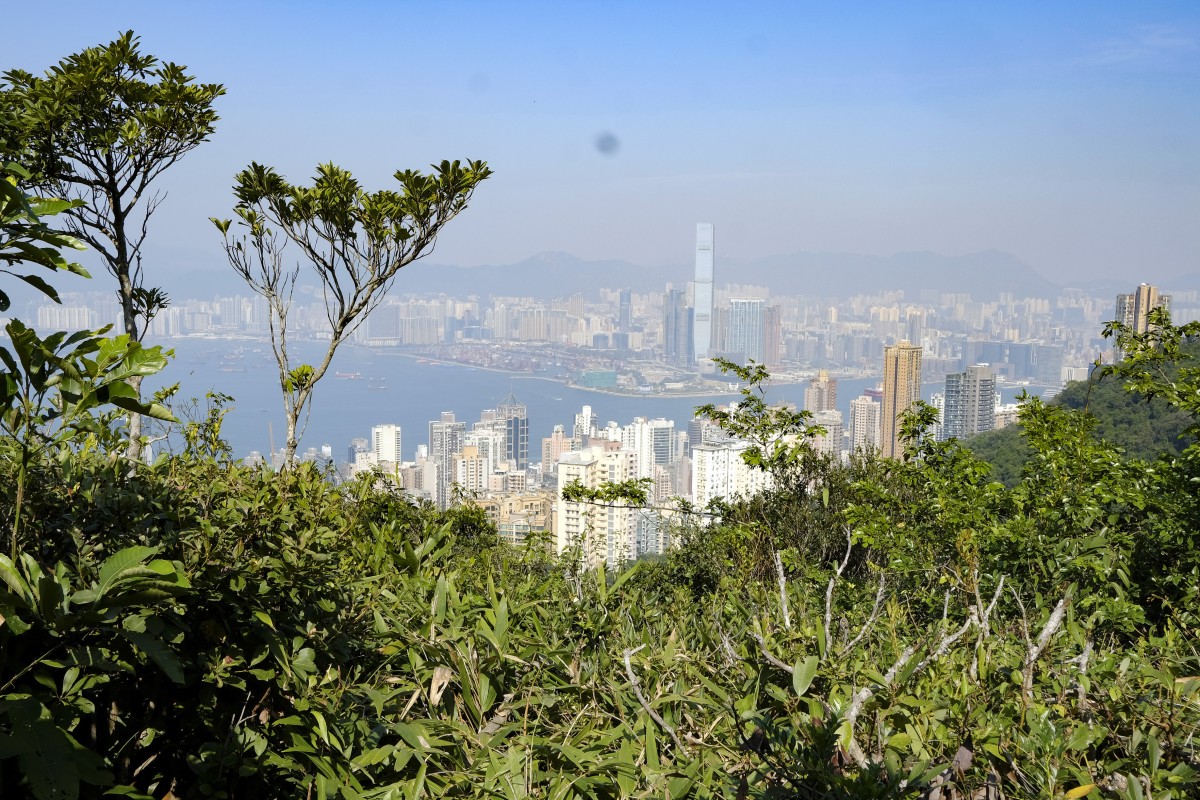 Lung Fu Shan is Hong Kong’s smallest country park. Photo: James Wendlinger